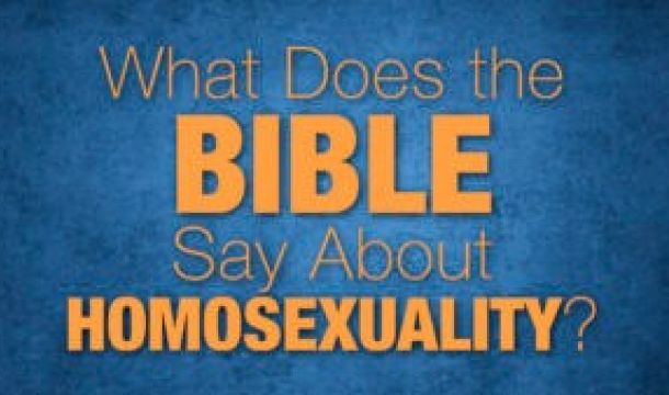 What does the biblw say about homosexuality